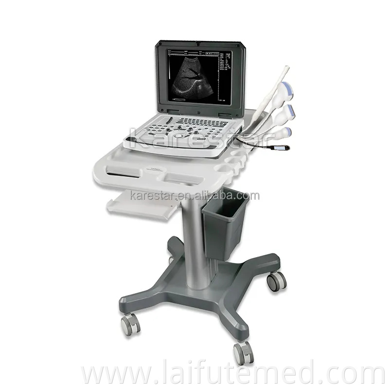 Veterinary Digital Ultrasonic Diagnostic Imaging System Portable Laptop B/W Handheld Ultrasound